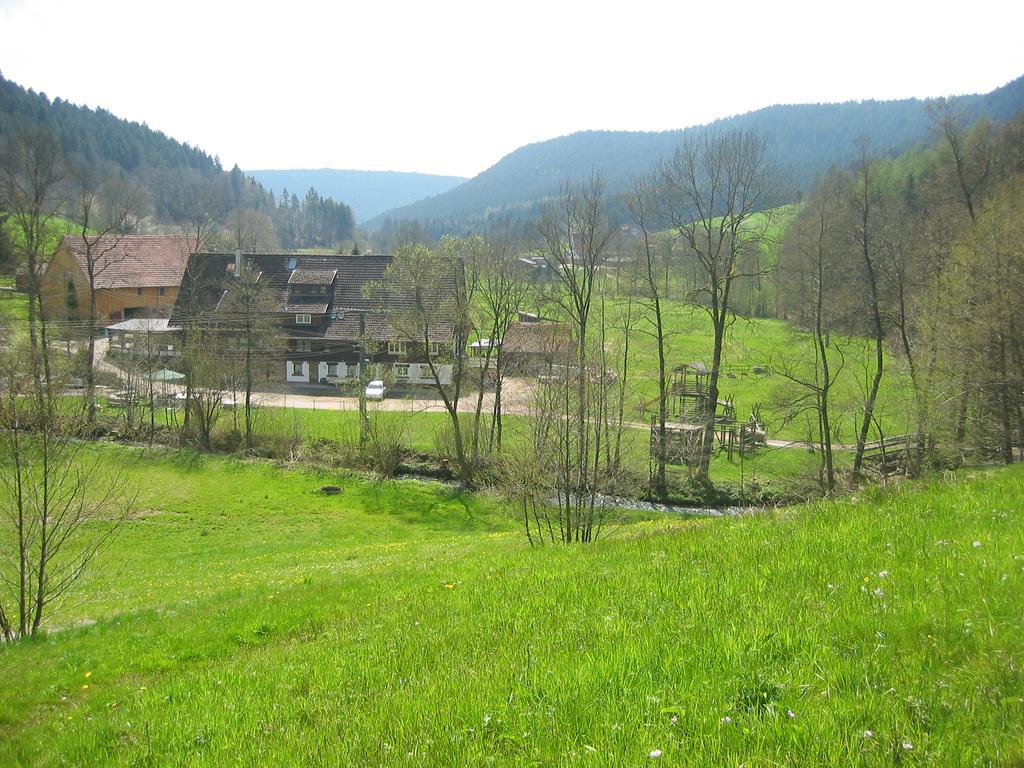 Landgasthof Untere Muhle Hotel Alpirsbach Exterior photo